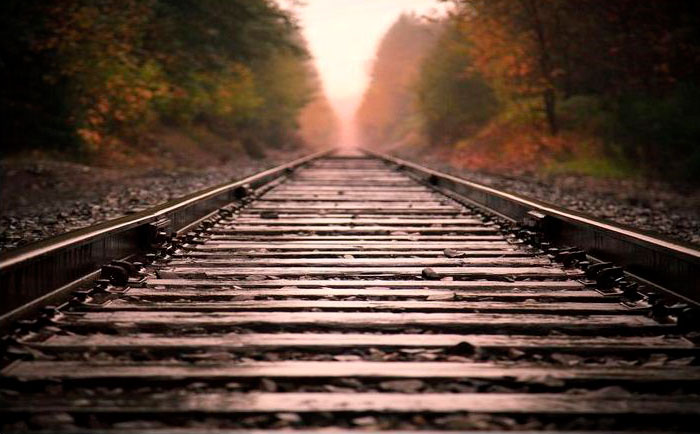 Железная дорога и сегодня не может обойтись без деревянных шпал
